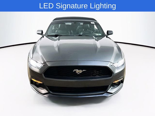 Certified 2017 Ford Mustang Premium RWD image 2