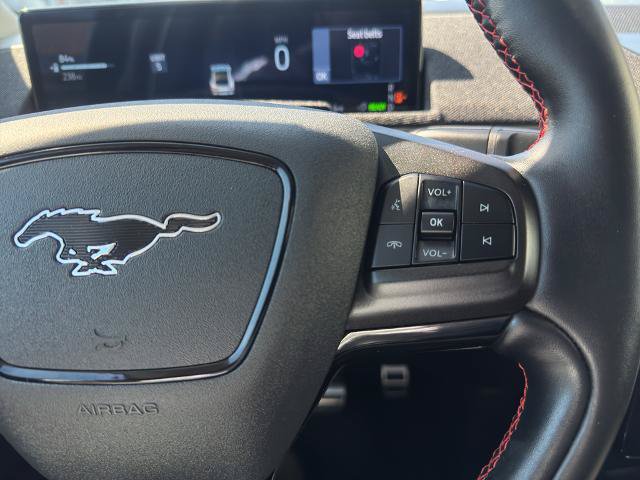 Certified 2025 Ford Mustang Mach-E Premium w/ Sport Appearance Package RWD image 14