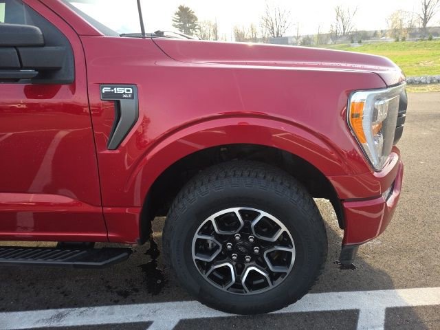 Certified 2022 Ford F150 XLT w/ Equipment Group 302A High image 8