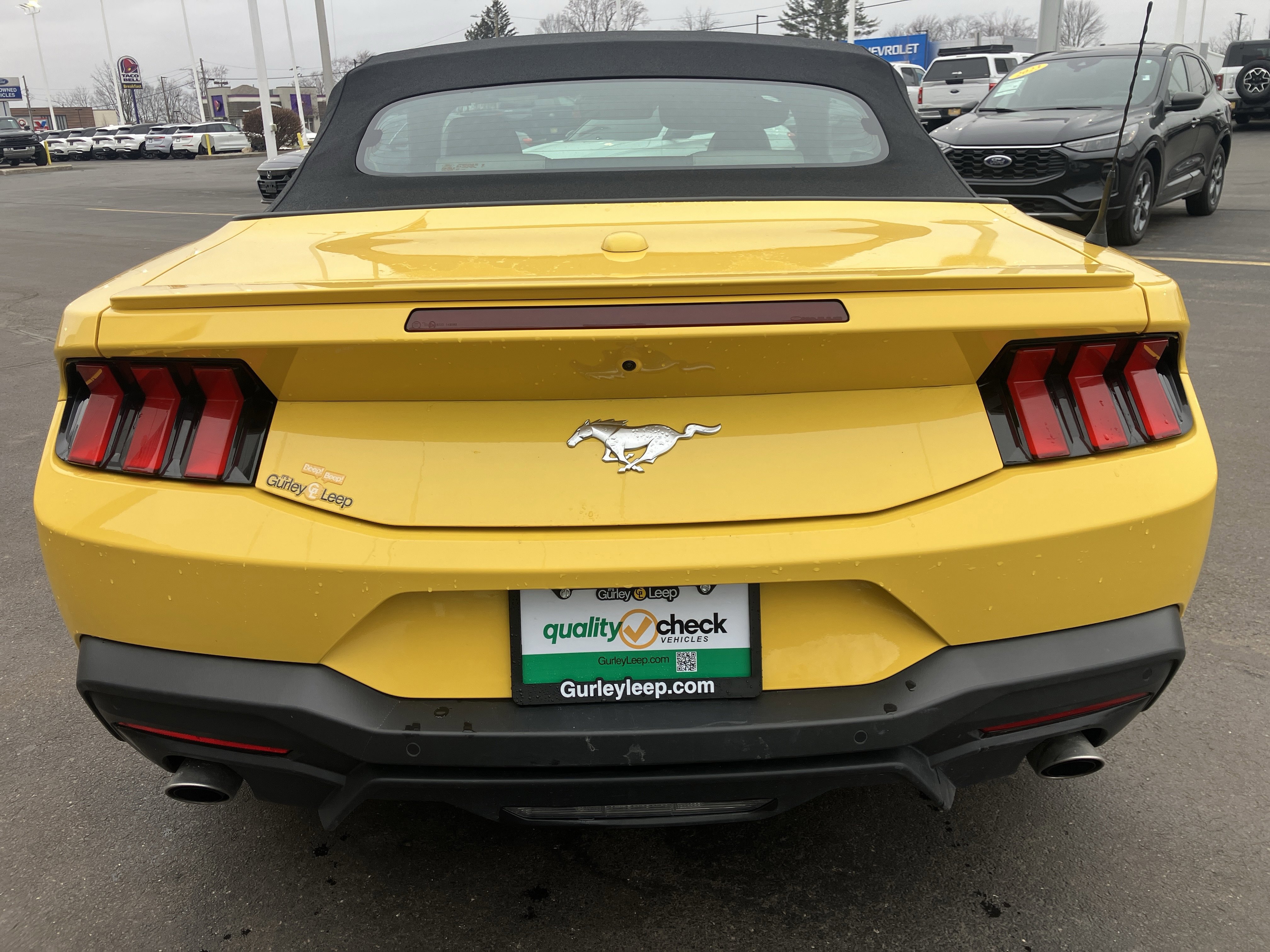 Certified 2024 Ford Mustang Premium image 4