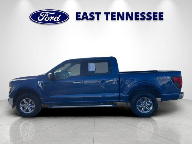 Certified 2025 Ford F150 XLT w/ Equipment Group 301A Standard image 2