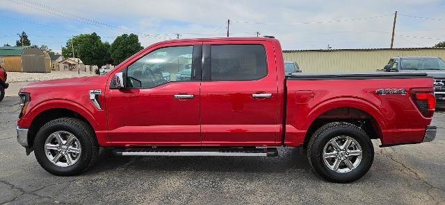 Certified 2024 Ford F150 XLT w/ Equipment Group 302A MID AWD/4WD image 2