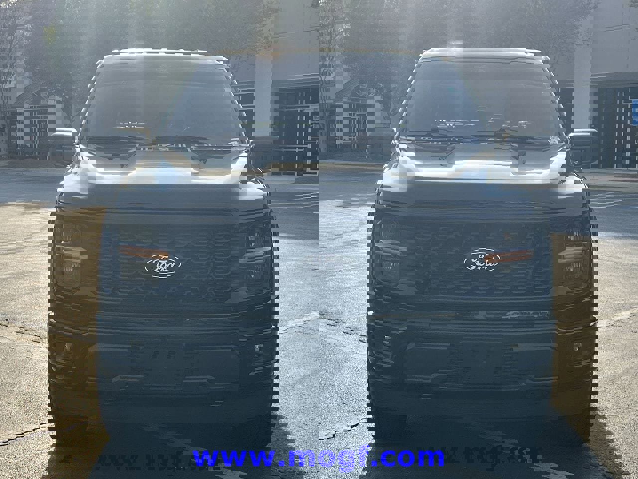 Certified 2024 Ford F150 STX w/ STX Black Appearance Package image 8