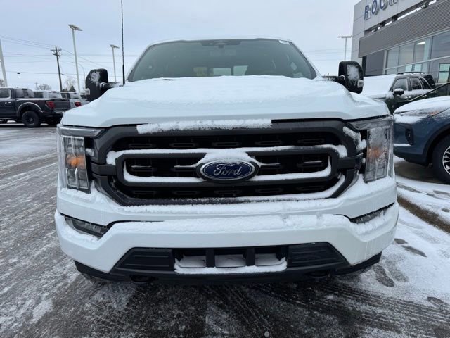 Certified 2023 Ford F150 XLT w/ Equipment Group 302A High image 6