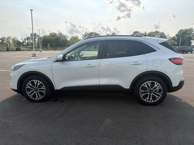 Certified 2020 Ford Escape SEL FWD image 15