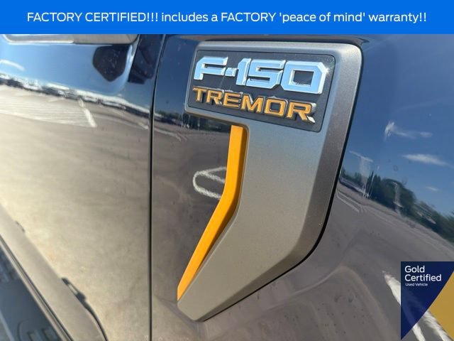 Certified 2025 Ford F150 Tremor w/ Tow/Haul Package AWD/4WD image 8