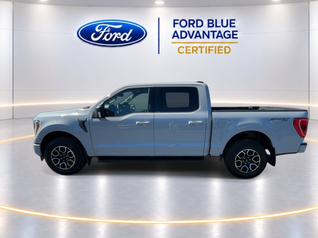 Certified 2023 Ford F150 XLT w/ Equipment Group 302A High AWD/4WD image 5