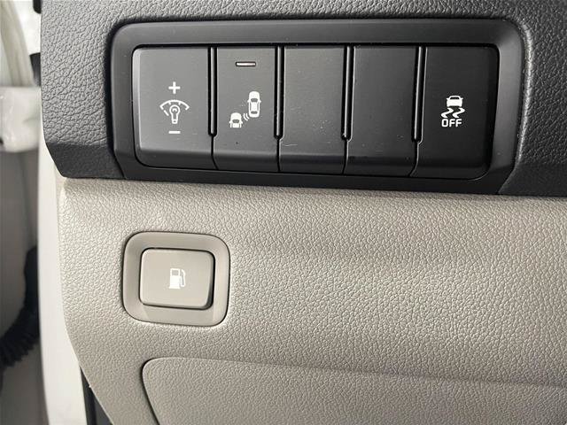 Used 2019 Kia Sedona EX FWD image 16