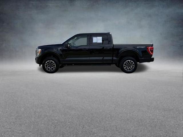 Certified 2022 Ford F150 XLT w/ Equipment Group 302A High AWD/4WD image 2
