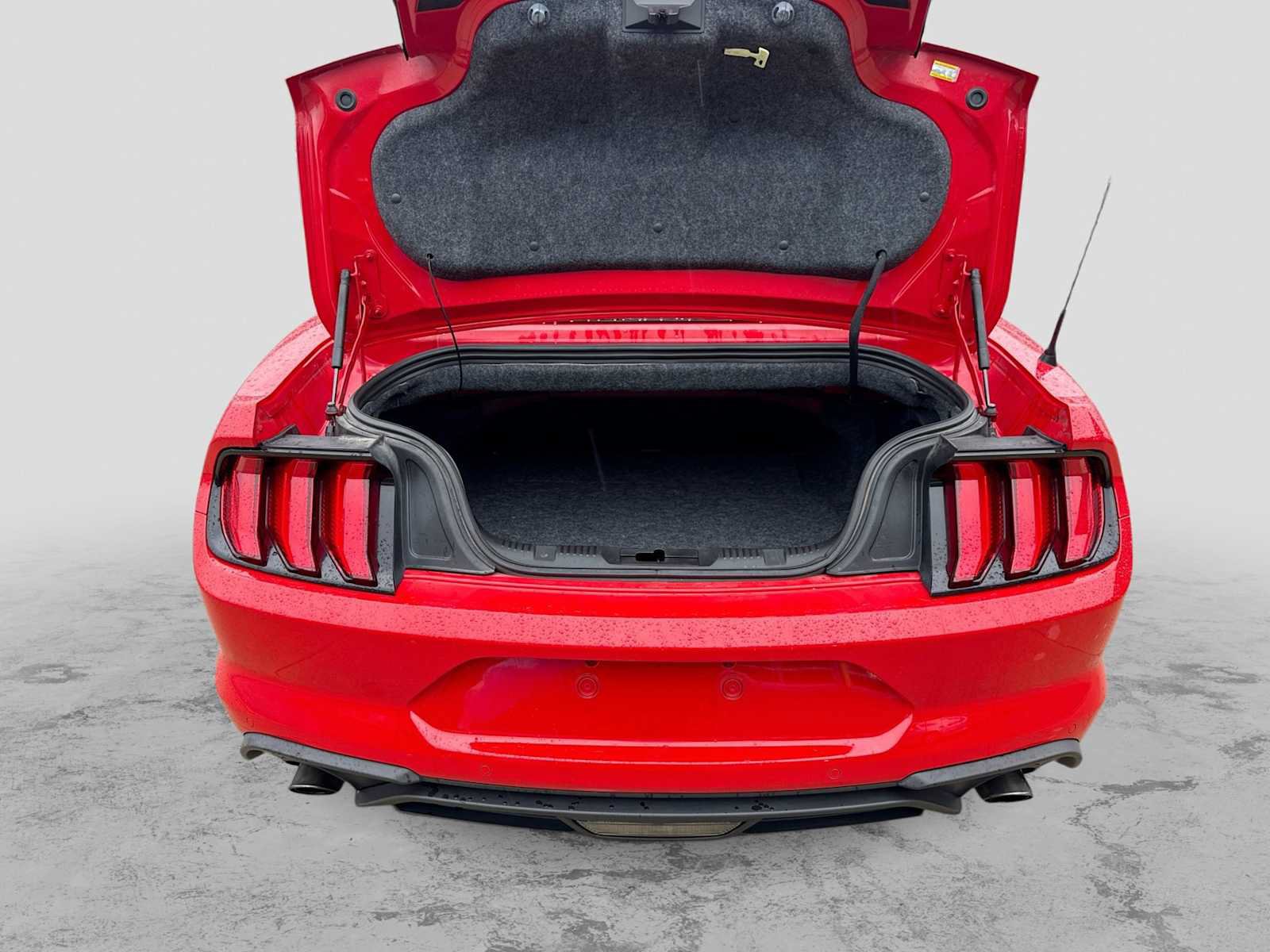 Certified 2019 Ford Mustang Premium w/ Equipment Group 201A RWD image 31