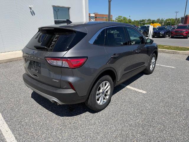 Certified 2022 Ford Escape SE w/ Convenience Package AWD/4WD image 8