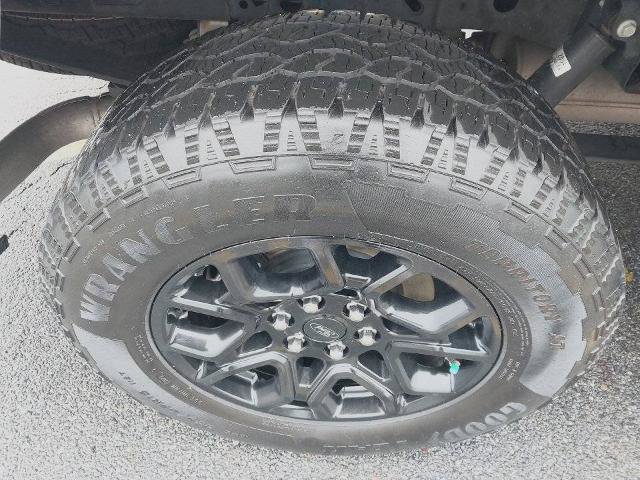 Certified 2024 Ford F150 XLT w/ XLT Black Appearance Package AWD/4WD image 12