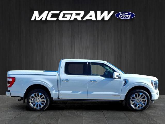Certified 2023 Ford F150 Limited image 5
