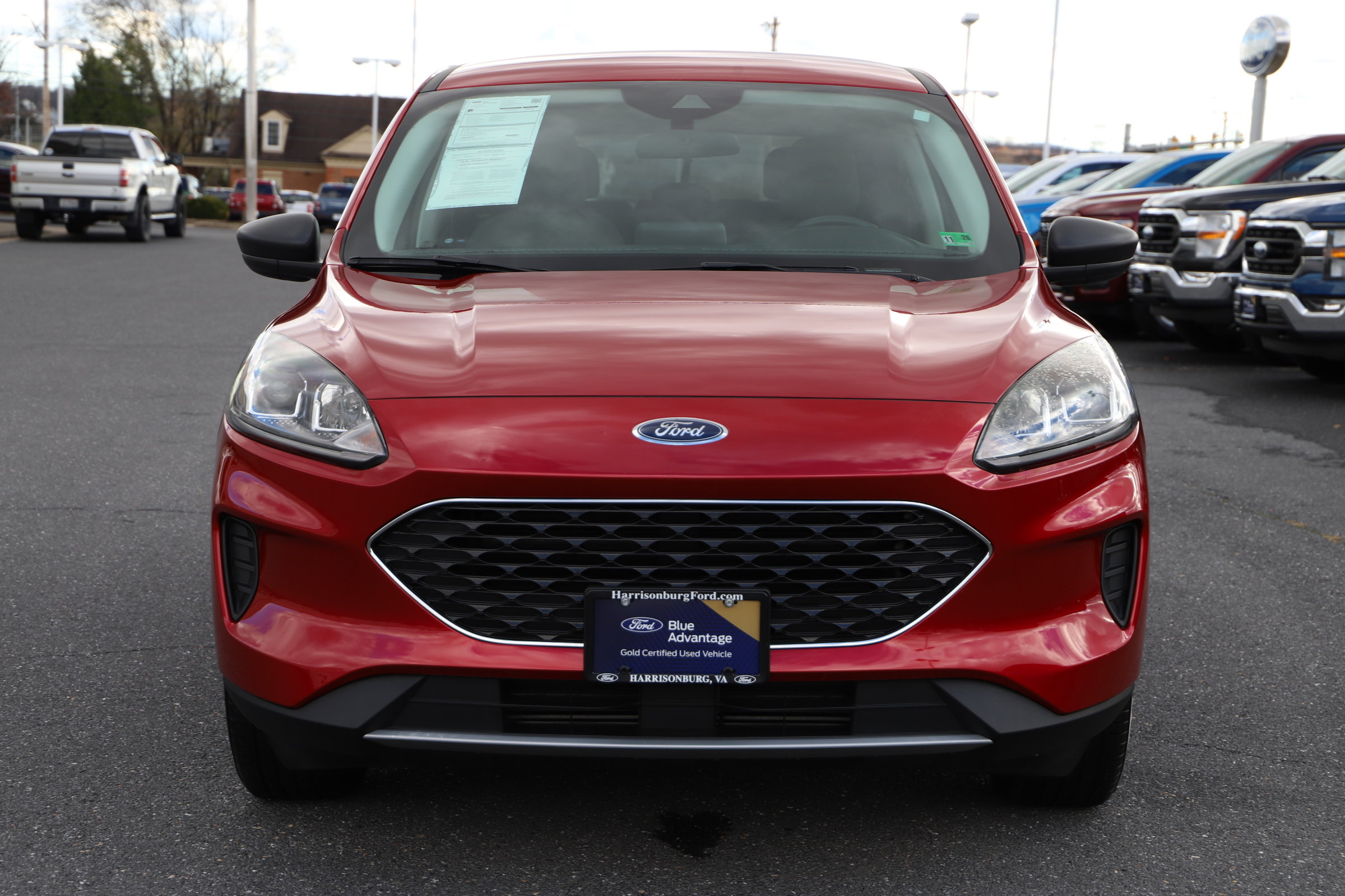Certified 2022 Ford Escape SE w/ Convenience Package image 6