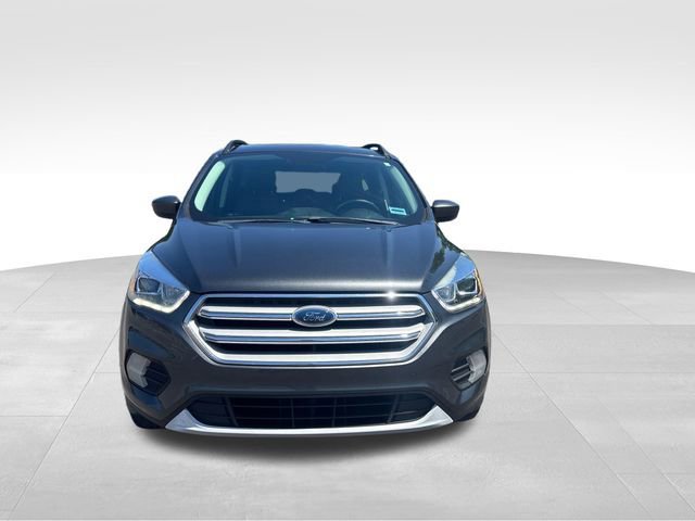 Certified 2019 Ford Escape SEL image 7