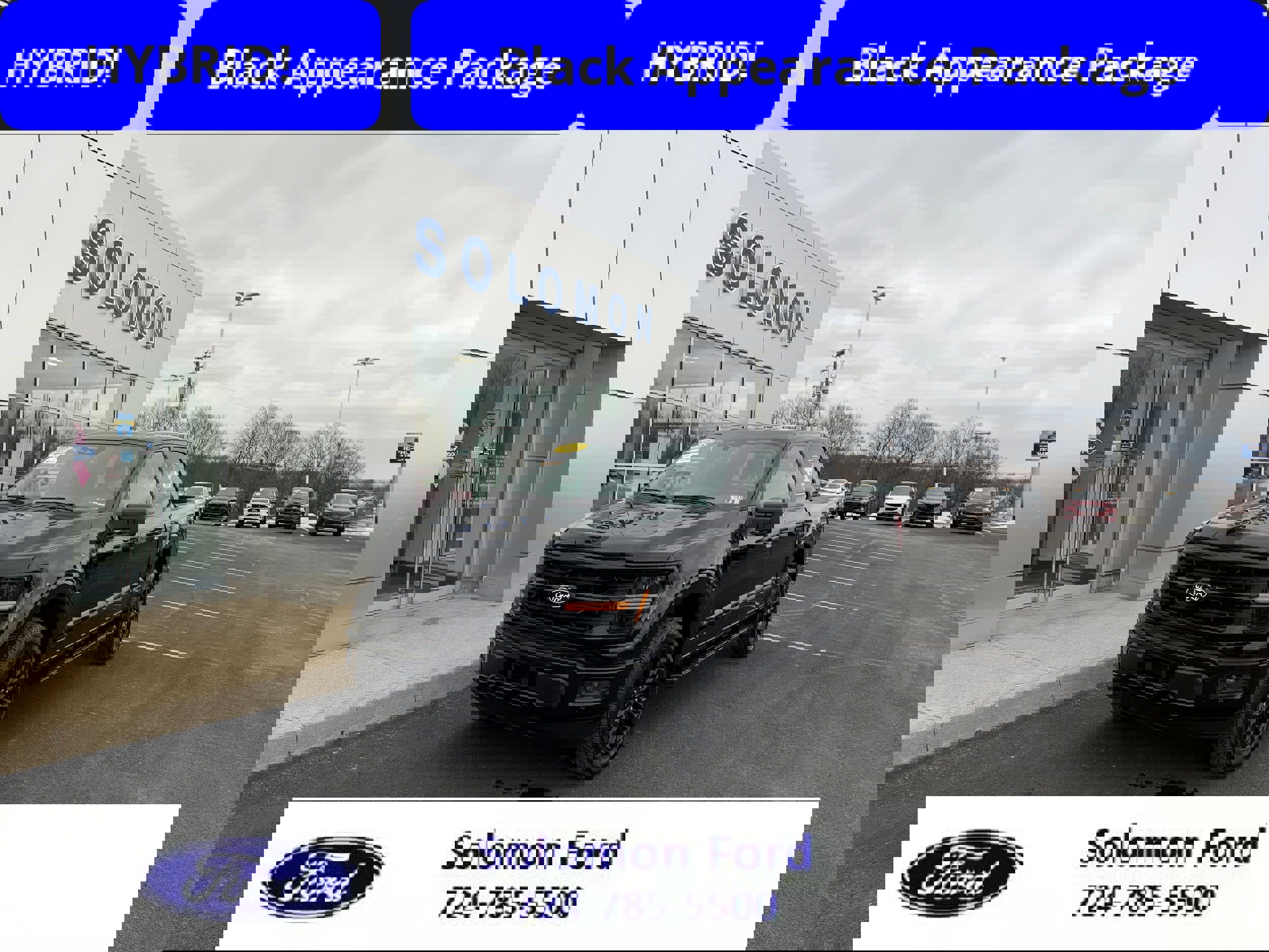 Certified 2025 Ford F150 XLT w/ Equipment Group 302A MID image 7