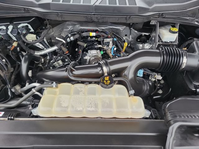 Certified 2023 Ford F150 XL w/ STX Appearance Package RWD image 30
