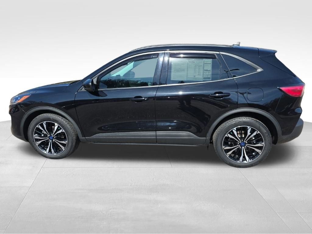 Certified 2022 Ford Escape SEL w/ SEL Stealth AWD Package image 6