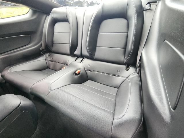 Certified 2019 Ford Mustang Premium RWD image 14