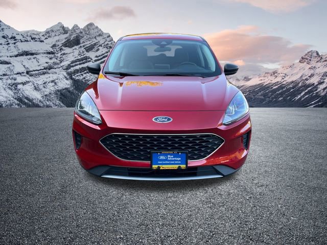 Certified 2022 Ford Escape SE w/ Cold Weather Package image 9