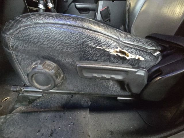 Used 2021 Jeep Gladiator Willys image 22