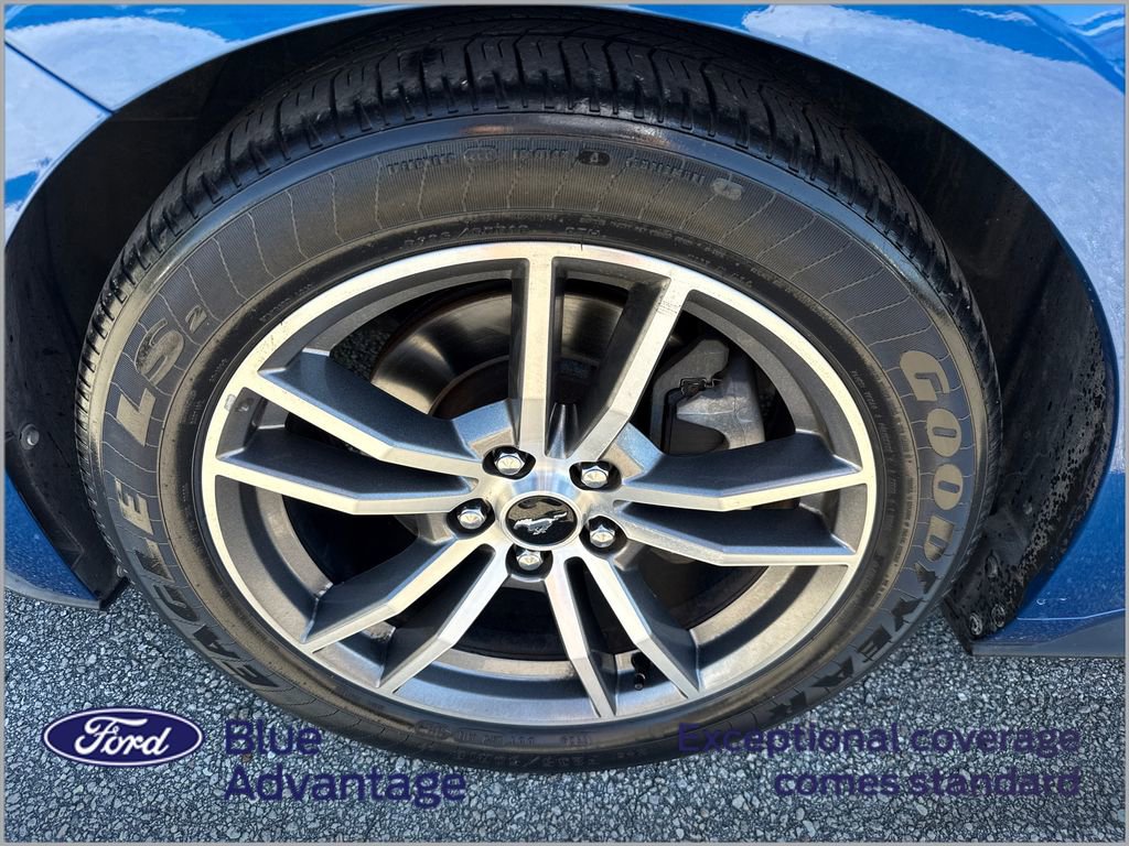 Certified 2017 Ford Mustang Premium image 12