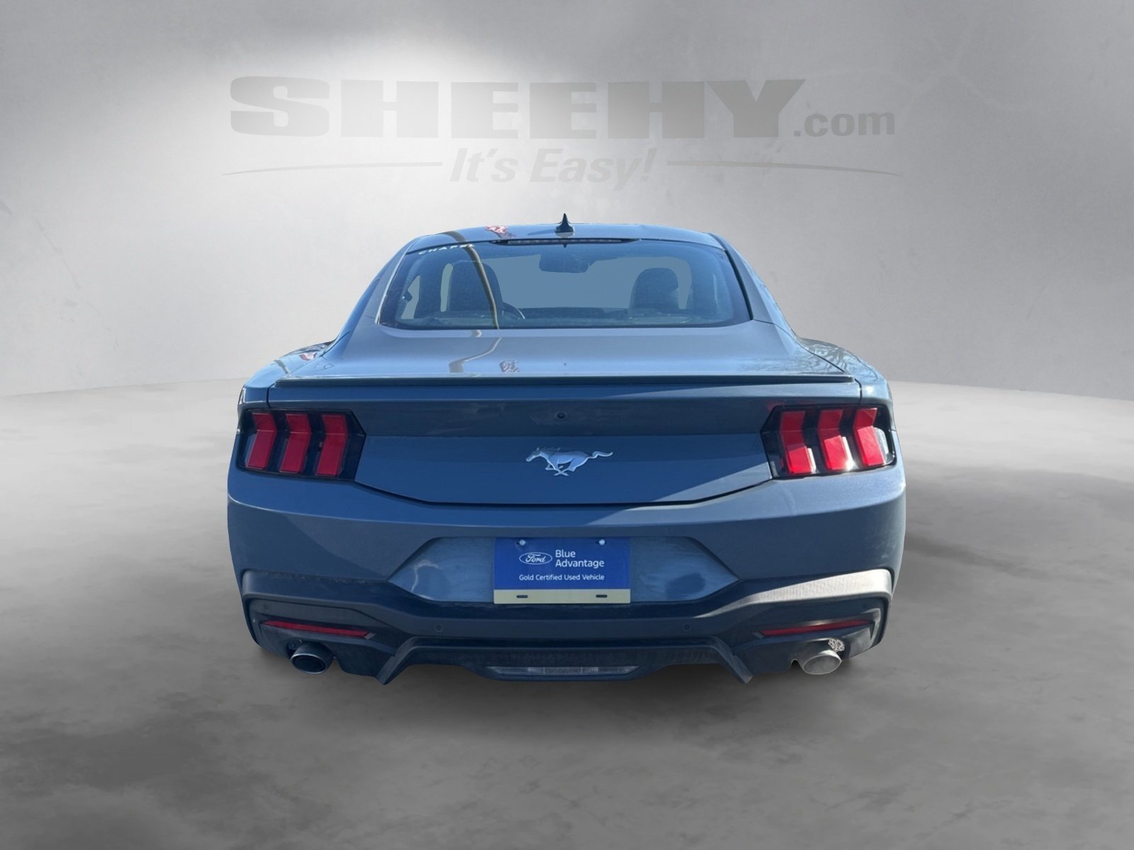 Certified 2024 Ford Mustang Premium image 4