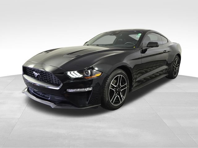 Certified 2022 Ford Mustang Premium RWD image 3