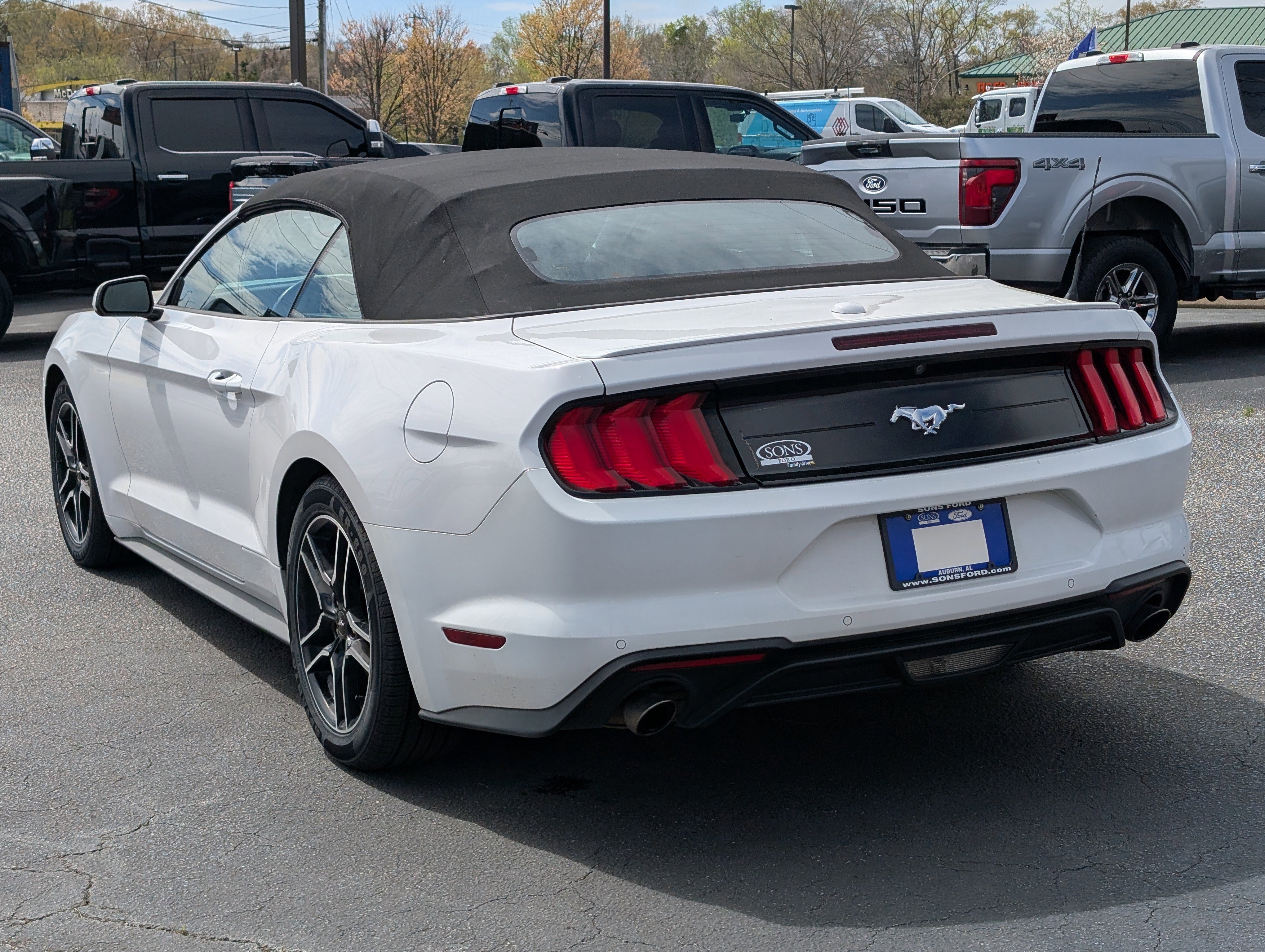 Certified 2021 Ford Mustang Premium image 5