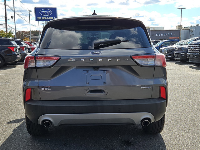 Certified 2022 Ford Escape SEL image 6