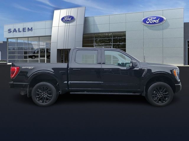 Certified 2023 Ford F150 XLT w/ Equipment Group 302A High AWD/4WD image 2