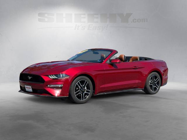 Certified 2019 Ford Mustang Premium RWD image 19