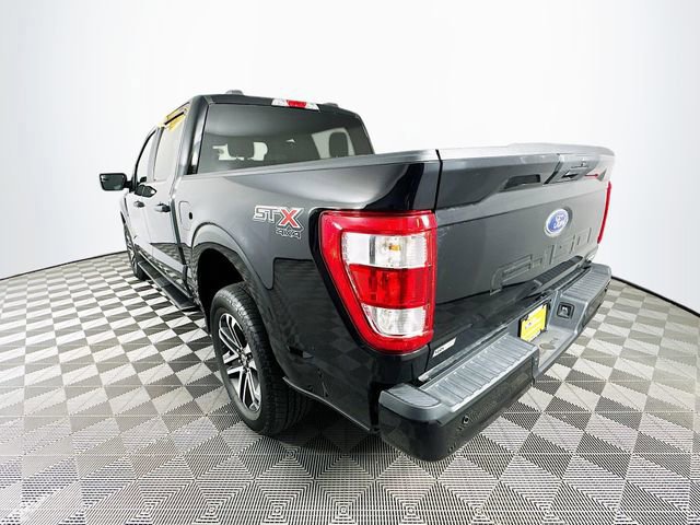 Certified 2023 Ford F150 XL w/ STX Appearance Package image 3