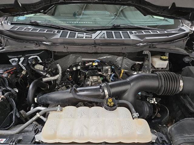 Certified 2021 Ford F150 XL w/ Equipment Group 101A High AWD/4WD image 3
