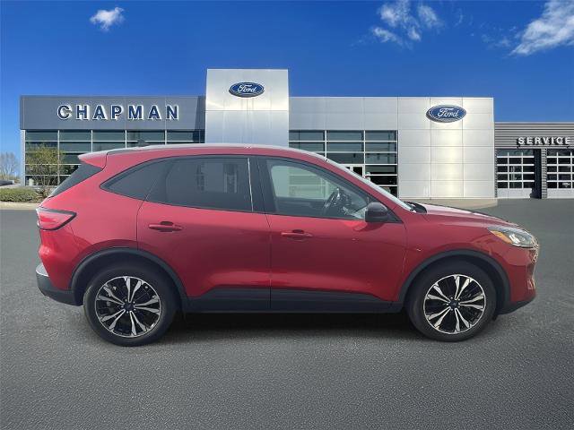 Certified 2022 Ford Escape SE w/ SE Sport Appearance Package image 4