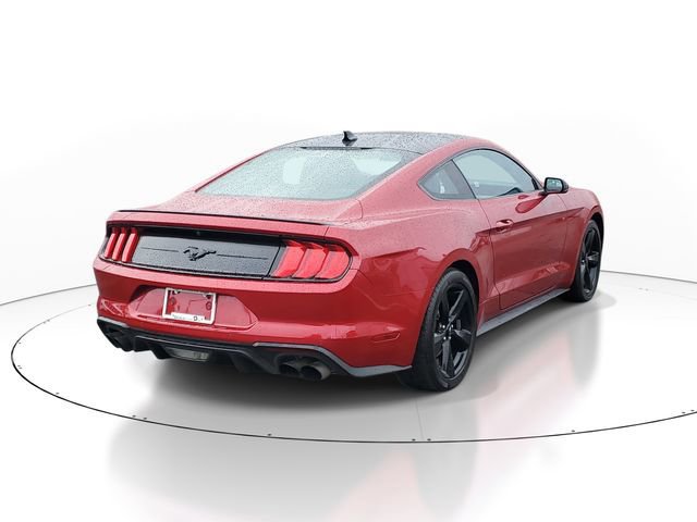 Certified 2023 Ford Mustang Premium image 3