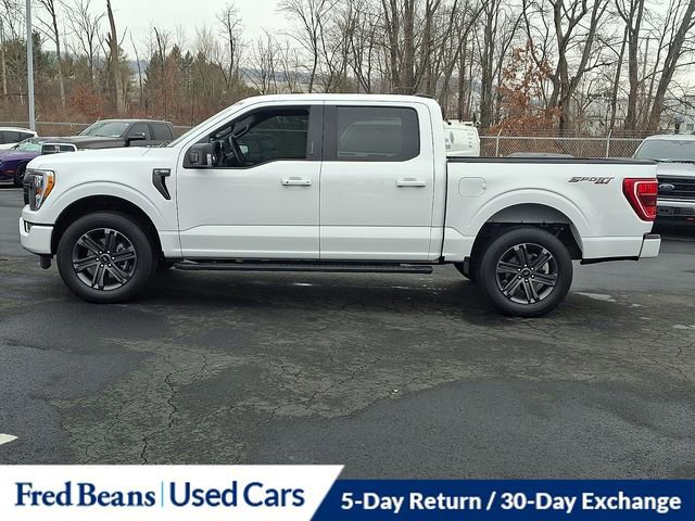 Certified 2023 Ford F150 XLT w/ Equipment Group 302A High image 3