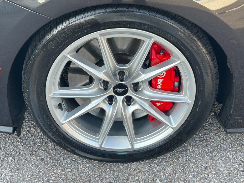 Certified 2024 Ford Mustang GT Premium image 19