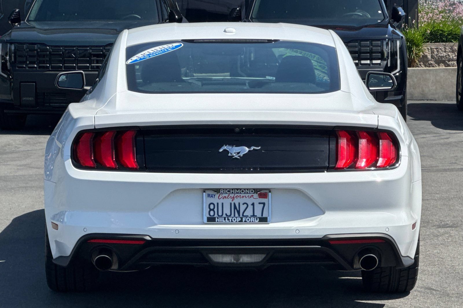 Certified 2018 Ford Mustang Premium w/ Ecoboost Performance Package RWD image 7