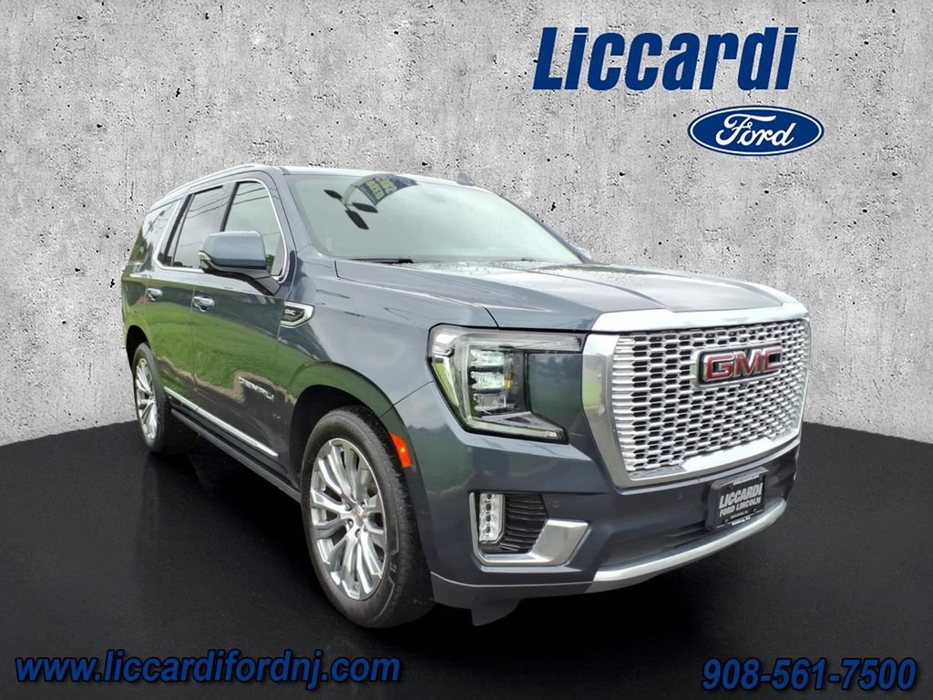 2021 Denali