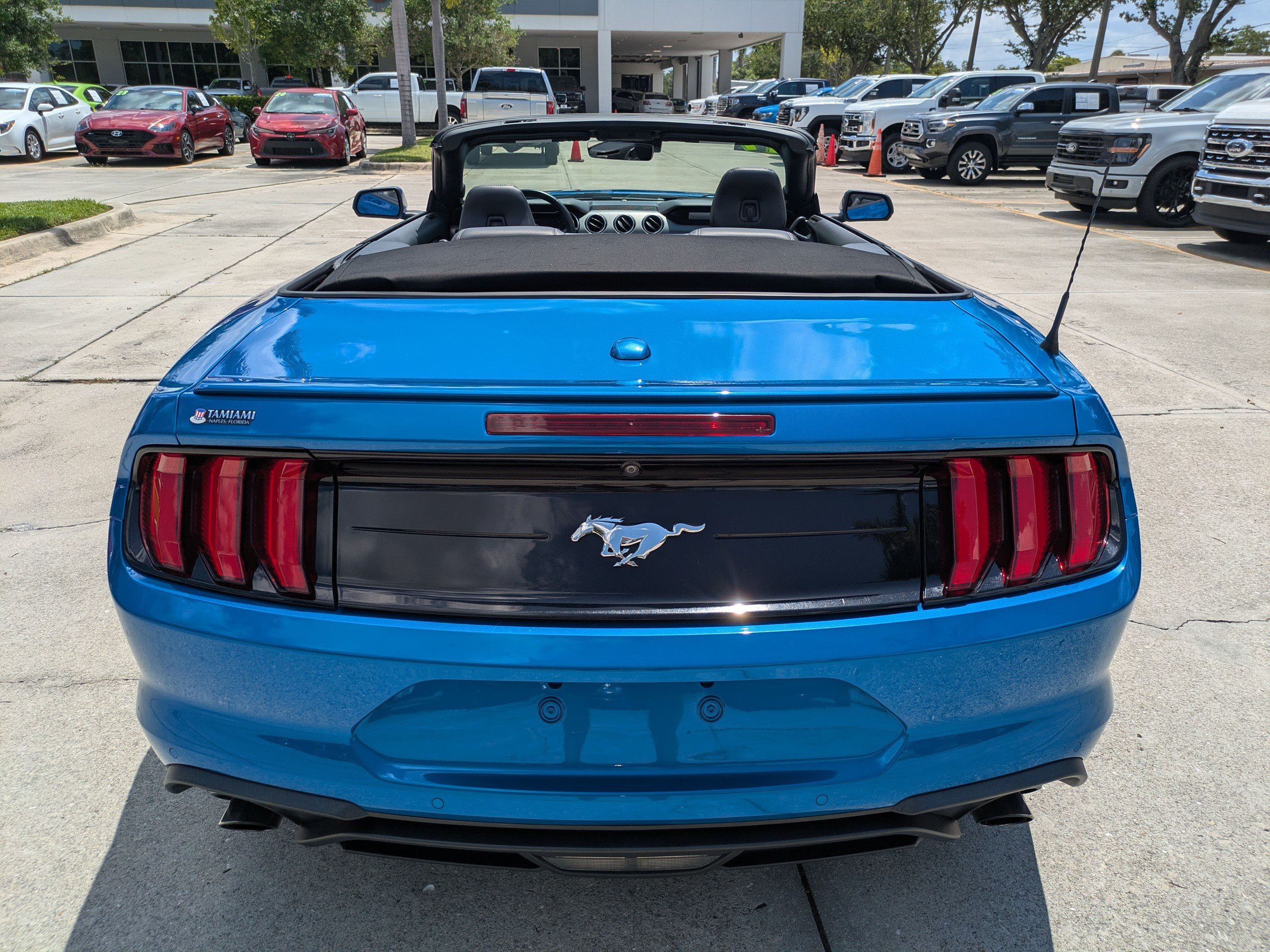 Certified 2019 Ford Mustang Premium w/ Equipment Group 201A RWD image 5