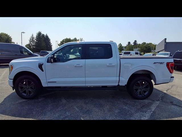 Certified 2023 Ford F150 XLT w/ Equipment Group 302A High AWD/4WD image 5