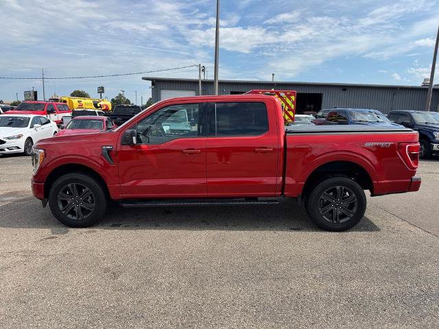 Certified 2023 Ford F150 XLT w/ Equipment Group 302A High AWD/4WD image 3