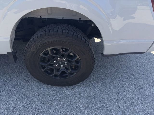 Certified 2024 Ford F150 XLT w/ Equipment Group 302A MID image 28