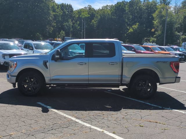 Certified 2023 Ford F150 XLT w/ Equipment Group 302A High AWD/4WD image 6