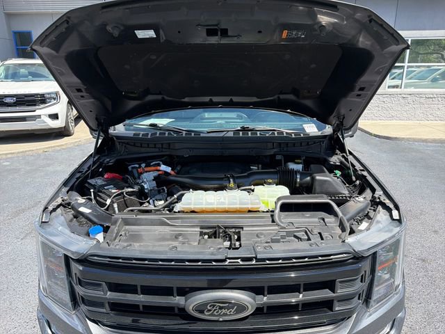 Certified 2023 Ford F150 Platinum w/ Equipment Group 701A High AWD/4WD image 26