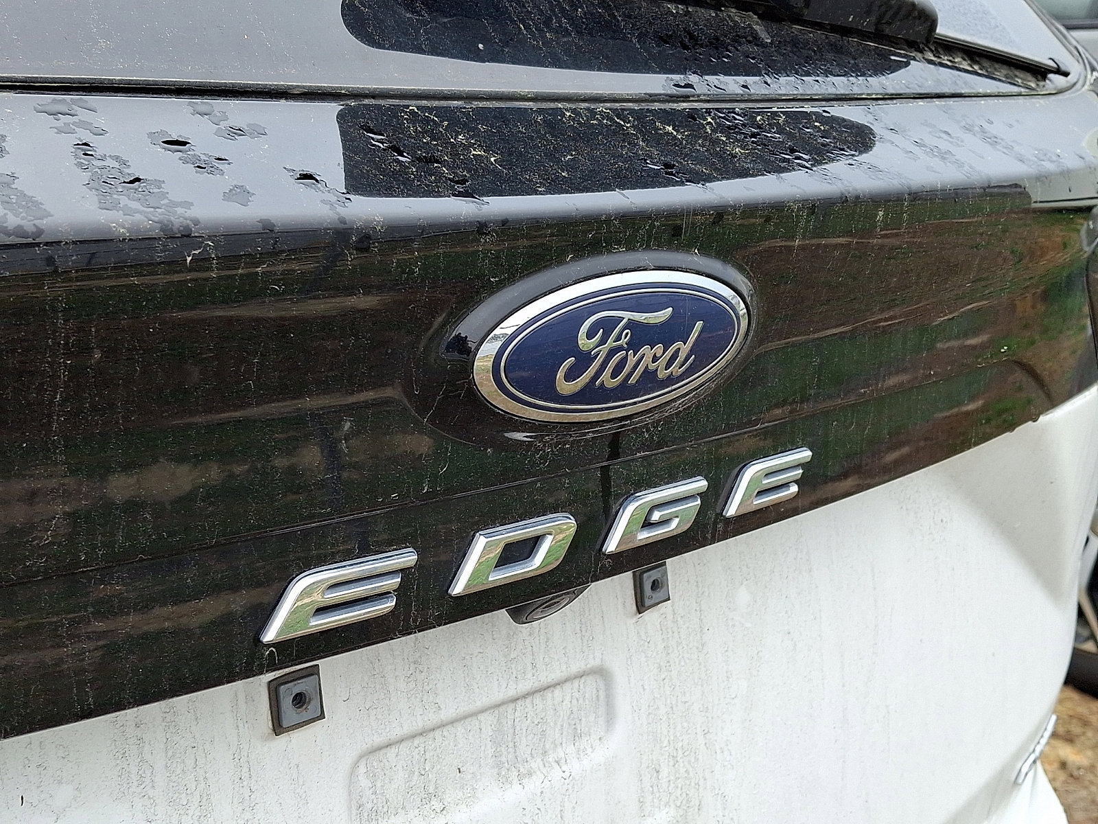 Certified 2024 Ford Edge SEL image 4