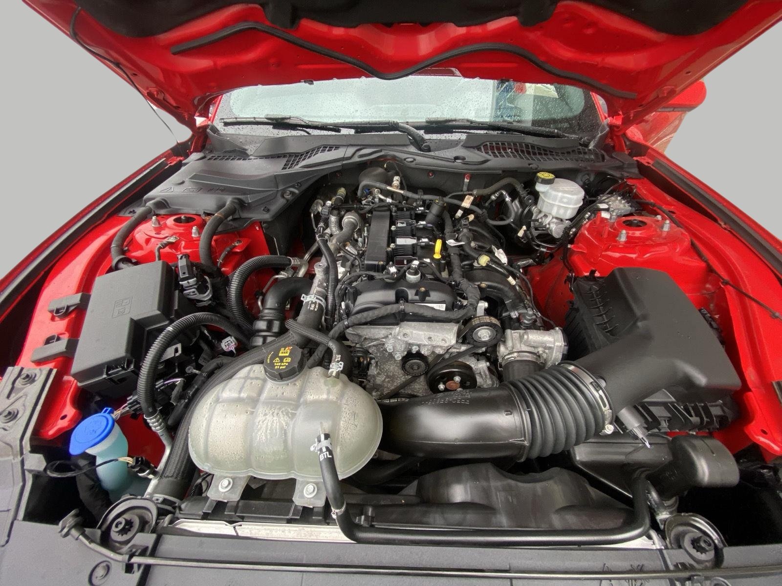 Certified 2021 Ford Mustang Coupe w/ Equipment Group 101A RWD image 12