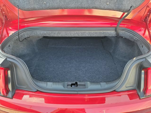 Certified 2019 Ford Mustang GT Premium w/ GT Performance Package RWD image 7