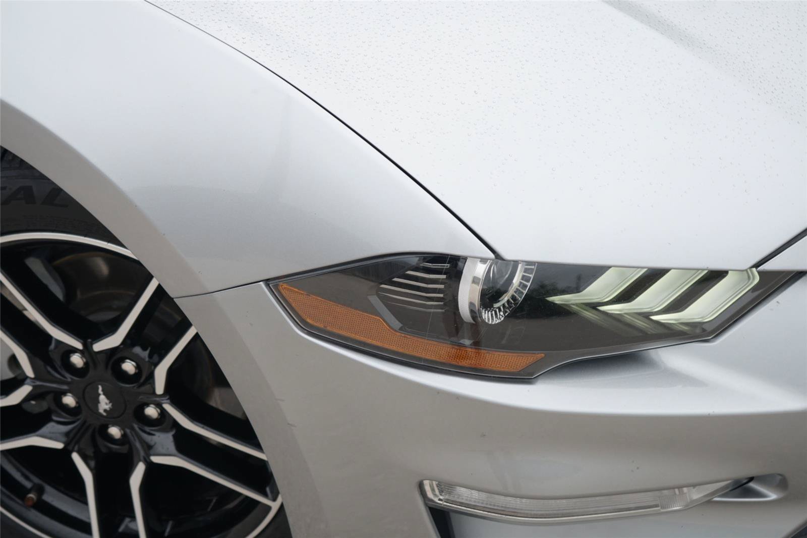 Certified 2021 Ford Mustang Premium RWD image 3